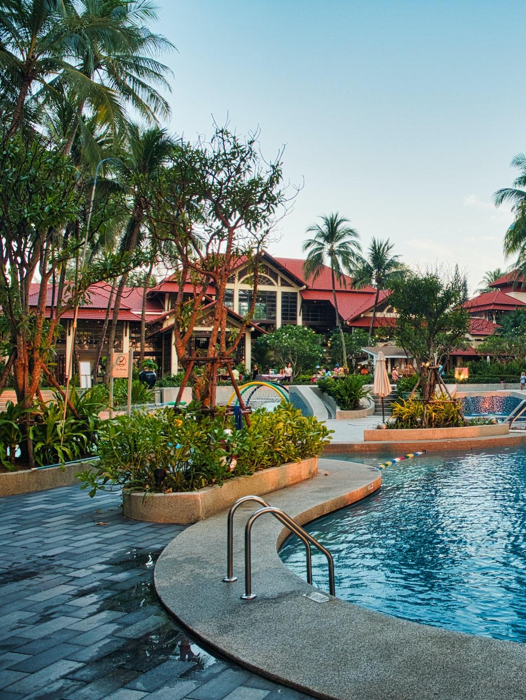 swimming pool near green trees during daytime